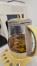 北鼎（Buydeem）養生壺 全自動(dòng)溫泡銀耳壺 玻璃恒溫家用養生花茶壺 大容量煮茶器煮茶壺 送禮好物禮物 【K118】鵝仔黃|溫泡|銀耳|多功能 1.5L 曬單實(shí)拍圖