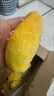 京地達海南貴妃芒果 凈重8斤超大果200g+肉厚無(wú)絲香甜新鮮水果源頭包郵 曬單實(shí)拍圖