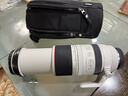 佳能RF微單鏡頭 R8 R6 R7 R5C R5 R62 R系列專(zhuān)用鏡頭 RF100-500mm F4.5-7.1 L IS 官方標配 曬單實(shí)拍圖