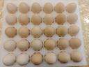 京鮮生富硒鮮雞蛋30枚 3斤 源頭直發(fā) 曬單實(shí)拍圖