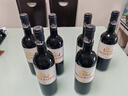 小龍戰艦法國波爾多進(jìn)口 AOC級龍船酒莊小龍船紅酒小龍戰艦干紅葡萄酒 法國波爾多【小龍船干紅】6瓶 曬單實(shí)拍圖