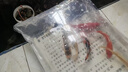 錦鯉魚(yú)活體觀(guān)賞魚(yú)活魚(yú)小型易養冷水淡水魚(yú)小魚(yú)苗錦鯉金魚(yú)好看錦鯉 10-12cm 六色錦鯉套餐6條 曬單實(shí)拍圖