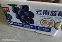 京鮮生 云南藍莓當季 2盒大果18mm+裝 125g/盒 生鮮水果源頭直發(fā) 曬單實(shí)拍圖