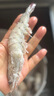 東上御品 國產(chǎn)青島大蝦 特大號白蝦 2030規格 凈重3斤 盒裝活凍 曬單實(shí)拍圖
