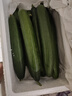 山東壽光水果黃瓜生吃脆新鮮荷蘭青瓜當季無(wú)刺小黃瓜源頭直發(fā) 精品水果黃瓜凈重 4.5斤 曬單實(shí)拍圖