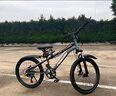 飛鴿青少年自行車(chē)6-12-18歲男女學(xué)生中大兒童賽級山地車(chē)灰22寸變速輻 曬單實(shí)拍圖