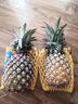 京鮮生 海南金鉆鳳梨 4粒裝 單果2斤起 生鮮水果 曬單實(shí)拍圖
