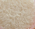 十月稻田 當季新米 生態(tài)稻香米 10斤（東北大米 香米 5公斤/十斤） 曬單實(shí)拍圖