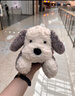 Jellycat唐布利牧羊犬動(dòng)物毛絨玩偶安撫玩具狗公仔娃娃送禮生日禮物 唐布利牧羊犬 Medium 曬單實(shí)拍圖