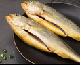 海名威 寧德三去黃花魚(yú)2斤/2條凈重 大黃魚(yú) 海鮮海魚(yú) 生鮮魚(yú)類(lèi) 地標認證 曬單實(shí)拍圖
