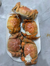 【活蟹】湖鮮陽(yáng)澄大閘蟹公4.2-4.5兩 母3.0-3.3兩4對8只新春過(guò)年送禮螃蟹海鮮禮盒裝 曬單實(shí)拍圖