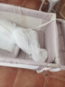 FORSUNNY嬰兒床多功能可折疊可移動(dòng)拼接床0-3歲新生兒寶寶搖搖床升降調節 秋錦 嬰兒床帶床墊尿布臺蚊帳可變搖籃搖床 嬰兒用品滿(mǎn)月禮物活動(dòng)曬圖送護脊椰棕床墊 曬單實(shí)拍圖