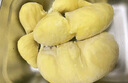 金尼堯泰國金枕榴蓮樹(shù)熟液氮冷凍新鮮水果生鮮 凈重3.5-4.0斤【爆款果 保4房】 曬單實(shí)拍圖