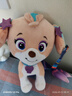 汪汪隊立大功（PAW PATROL）毛絨玩具狗狗陪睡玩偶經(jīng)典款珊瑚中號坐姿可愛(ài)公仔男女孩生日禮物 曬單實(shí)拍圖