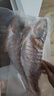 優(yōu)牧冠 新鮮冷凍海鱸魚(yú)/河鱸魚(yú) 紅鼓魚(yú)隨機 去鱗去鰓去內臟 三去免處理 【無(wú)抗生素】400-500g*2條裝（凈重）開(kāi)背免處理】 曬單實(shí)拍圖