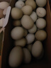 跑山密水農家林間散養正宗北京油雞雞蛋 生鮮 土雞蛋 新鮮雞蛋 油雞蛋30枚 曬單實(shí)拍圖