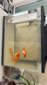 森森超白玻璃魚(yú)缸一體缸自循環(huán)免安裝XHE-480(黑) 曬單實(shí)拍圖