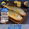 三都港 冷凍三去黃花魚(yú)2斤/2條裝 寧德大黃魚(yú) 深海魚(yú) 生鮮魚(yú)類(lèi) 海鮮 曬單實(shí)拍圖