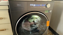 美的（Midea）滾筒洗衣機全自動(dòng)國家補貼 10/12公斤大容量單洗/洗烘一體機 元氣2.0 一級能效變頻節能 以舊換新 【10KG帶烘干L5】醫護級除菌+智能柔烘 洗烘一體 曬單實(shí)拍圖