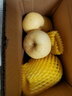 京喜加【黃金奶油富士蘋(píng)果】脆甜多汁山東煙臺棲霞奶油富士蘋(píng)果整箱批發(fā) 帶箱2斤凈重1.6斤奶油富士/大果70-80mm 曬單實(shí)拍圖