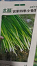 北蔬 四季小香蔥種子小蔥苗種苗家種盆栽菜種籽 四季小香蔥種子1000粒 曬單實(shí)拍圖
