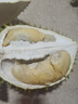 鼎宴堂（DINGYANTANG）【順豐速運】泰國金枕榴蓮禮盒裝鮮果帶殼整個(gè)新鮮水果 4-5斤禮盒裝（1個(gè)果）包4-5房 曬單實(shí)拍圖