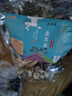 京鮮生云南鹿茸菇干貨凈重1斤 當季新貨脆嫩爽口火鍋煲湯小炒源頭直發(fā) 曬單實(shí)拍圖