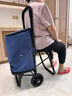 卡塔買(mǎi)菜小拉車(chē)家用折疊便攜老人帶椅購物拉桿車(chē)可推可坐購物車(chē)手拉車(chē) 升級帶座椅-靜音兩輪-藍格袋 曬單實(shí)拍圖