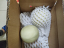 京覓海南玉菇甜瓜凈重4.5-5斤單果750g+新鮮冰淇淋蜜瓜香源頭直發(fā) 曬單實(shí)拍圖