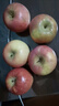【富士蘋(píng)果脆甜】山西紅富士運城蘋(píng)果臨猗富士膜袋紅富士脆甜多汁 （70mm+）帶箱2斤凈重1.6-1.8 曬單實(shí)拍圖