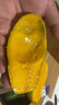 集南鮮 海南芒果 現摘大青皮黃皮金煌甜心芒果熱帶芒果新鮮時(shí)令生鮮水果 含箱10斤  250g起  凈重9斤 曬單實(shí)拍圖