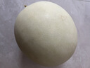 藤上熟玉菇蜜瓜單粒約1.2kg 曬單實(shí)拍圖