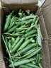 京愿新鮮蔬菜云南青豌豆帶殼青豆角甜豆莢現摘新鮮農家蔬菜 凈重5斤裝【現摘現發(fā)】 曬單實(shí)拍圖