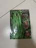 稻田伙伴紅花四季豆種子蕓豆豆角種籽春秋陽(yáng)臺庭院田園早熟高產(chǎn)蔬菜種孑 紅花四季豆種子20粒 曬單實(shí)拍圖