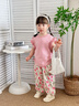 嘟嘟家女童花邊短袖套裝夏裝女寶寶夏季可愛(ài)兩件套寶寶休閑T恤長(cháng)褲夏款 粉色 110 曬單實(shí)拍圖
