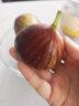 蒲戀無(wú)花果新鮮水果【順豐JD送貨上門(mén)】云南無(wú)花果當季孕婦鮮果現摘 1斤凈重【大果暢銷(xiāo)裝】 曬單實(shí)拍圖