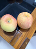 京地達新疆阿克蘇冰糖心蘋(píng)果水果紅富士?jì)糁?.5斤單果250g+源頭直發(fā)包郵 曬單實(shí)拍圖