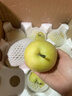 鮮友季安徽碭山青皮皇冠梨酥梨皇翠冠香梨雪梨整箱包郵 凈重8.5-9斤中大果（單果250g+） 曬單實(shí)拍圖