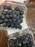云南藍莓新鮮水果當季藍莓鮮果現摘孕高山婦大果整箱京東快遞 品質(zhì)中果【單果15mm+】 4盒小份裝【70g/盒】 曬單實(shí)拍圖