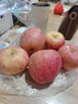 三萌果蔬煙臺蘋(píng)果棲霞紅富士新鮮水果山東特產(chǎn)脆甜蘋(píng)果當季時(shí)令送禮 5斤活動(dòng)裝【顆顆精選】?jì)糁?.5斤 曬單實(shí)拍圖