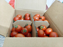 京喜加【全網(wǎng)熱銷(xiāo)】廣西正宗圣女果露天櫻桃小番茄即食水果小柿子新鮮 帶箱4斤 3.5斤 凈重 曬單實(shí)拍圖
