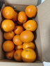 正宗奉節臍橙紐荷爾10斤/20斤整箱禮盒當季新鮮橙子生鮮水果 奉節紐荷爾臍橙大果【單果80-90mm】 帶箱20斤裝【凈重約19】實(shí)打實(shí)的 曬單實(shí)拍圖