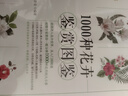 1000種花卉鑒賞圖鑒 植物專(zhuān)家王意成教你一眼分辨1000種花朵 曬單實(shí)拍圖
