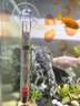 派樂(lè )特 魚(yú)缸溫度計高精度缸內潛水探頭水溫計水族專(zhuān)用 玻璃溫度計 曬單實(shí)拍圖