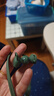 華為（HUAWEI）FreeLace 國家補貼 耳機 活力版 藍牙運動(dòng)耳機 半入耳式 長(cháng)續航 華為運動(dòng)耳機 云杉綠 曬單實(shí)拍圖