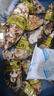 鮮活乳山生蠔新鮮牡蠣海蠣子5斤箱 3XL中蠔（11-16只每箱）凈重5斤生蠔 曬單實(shí)拍圖