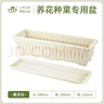 史丹利陽(yáng)臺種菜盆專(zhuān)用家用花盆長(cháng)方形塑料蔬果盆栽象牙白【長(cháng)590mm】 曬單實(shí)拍圖