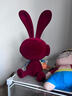 閃電兔坐姿植絨擺件卡通創(chuàng  )意現代輕奢裝飾品桌面客廳玄關(guān)喬遷禮物 閃電兔【紅色】 曬單實(shí)拍圖