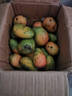 小臺農芒果【多地次日達】小芒果新鮮水果整箱應當季海南熱帶水果 特級果【單果100g+】 5斤裝【超劃算】?jì)糁?.5斤 曬單實(shí)拍圖