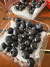 云南高山藍莓王鮮果當季新鮮現摘花香怡顆甜藍莓禮盒孕婦水果 品質(zhì)中果【單果15mm+】 2盒小份裝【70g/盒】 曬單實(shí)拍圖